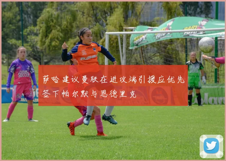 萨哈建议曼联在进攻端引援应优先签下帕尔默与恩德里克